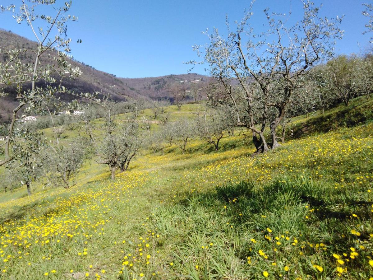 Agriturismo Terrarossa Пистойя Экстерьер фото