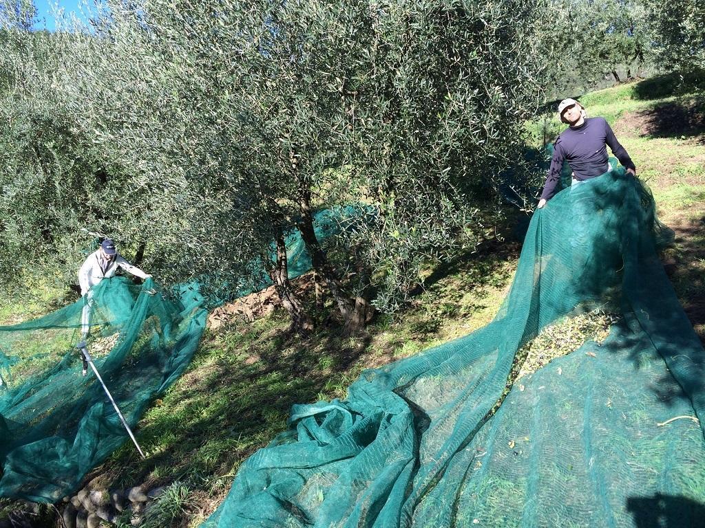 Agriturismo Terrarossa Пистойя Экстерьер фото