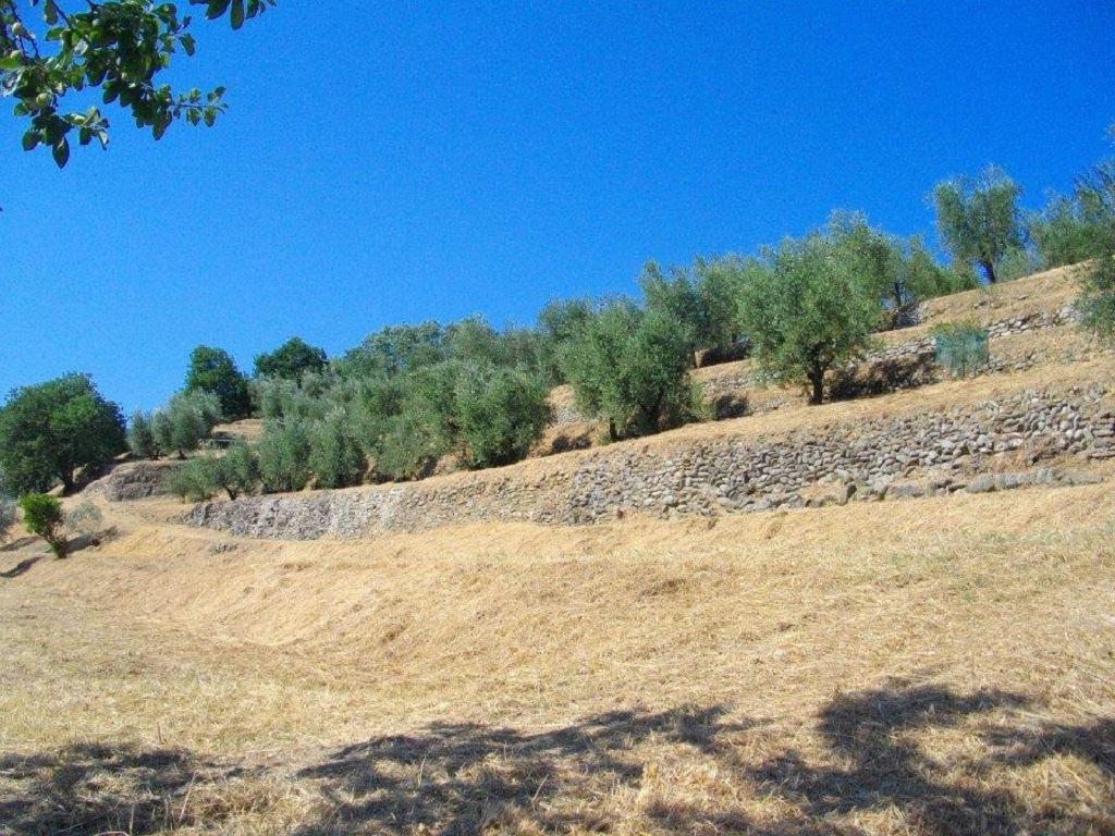Agriturismo Terrarossa Пистойя Экстерьер фото