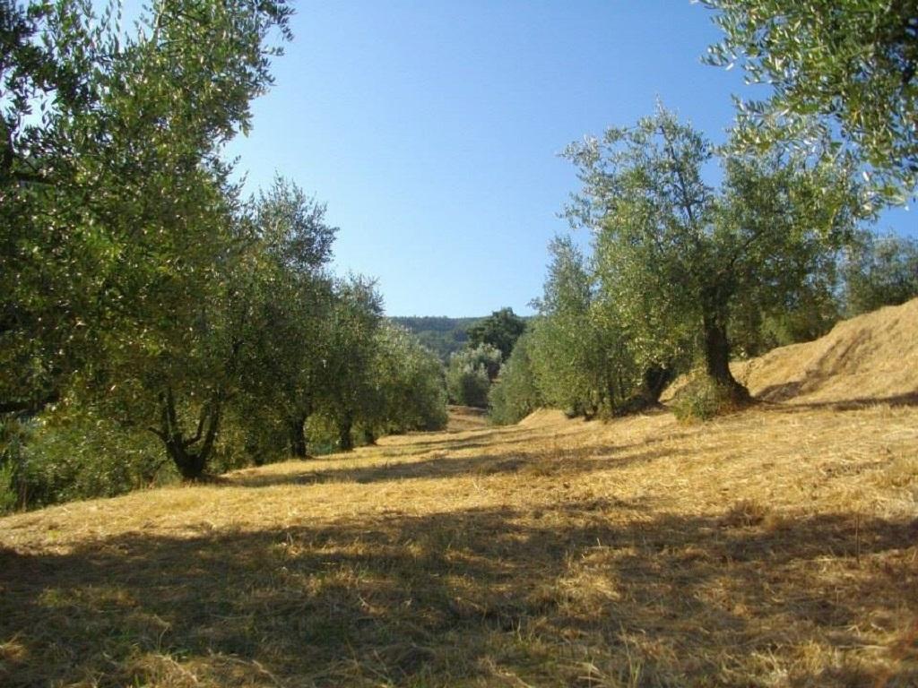 Agriturismo Terrarossa Пистойя Экстерьер фото