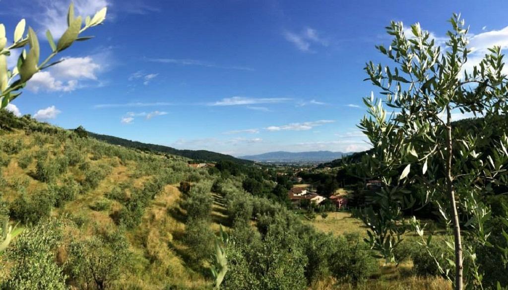 Agriturismo Terrarossa Пистойя Экстерьер фото